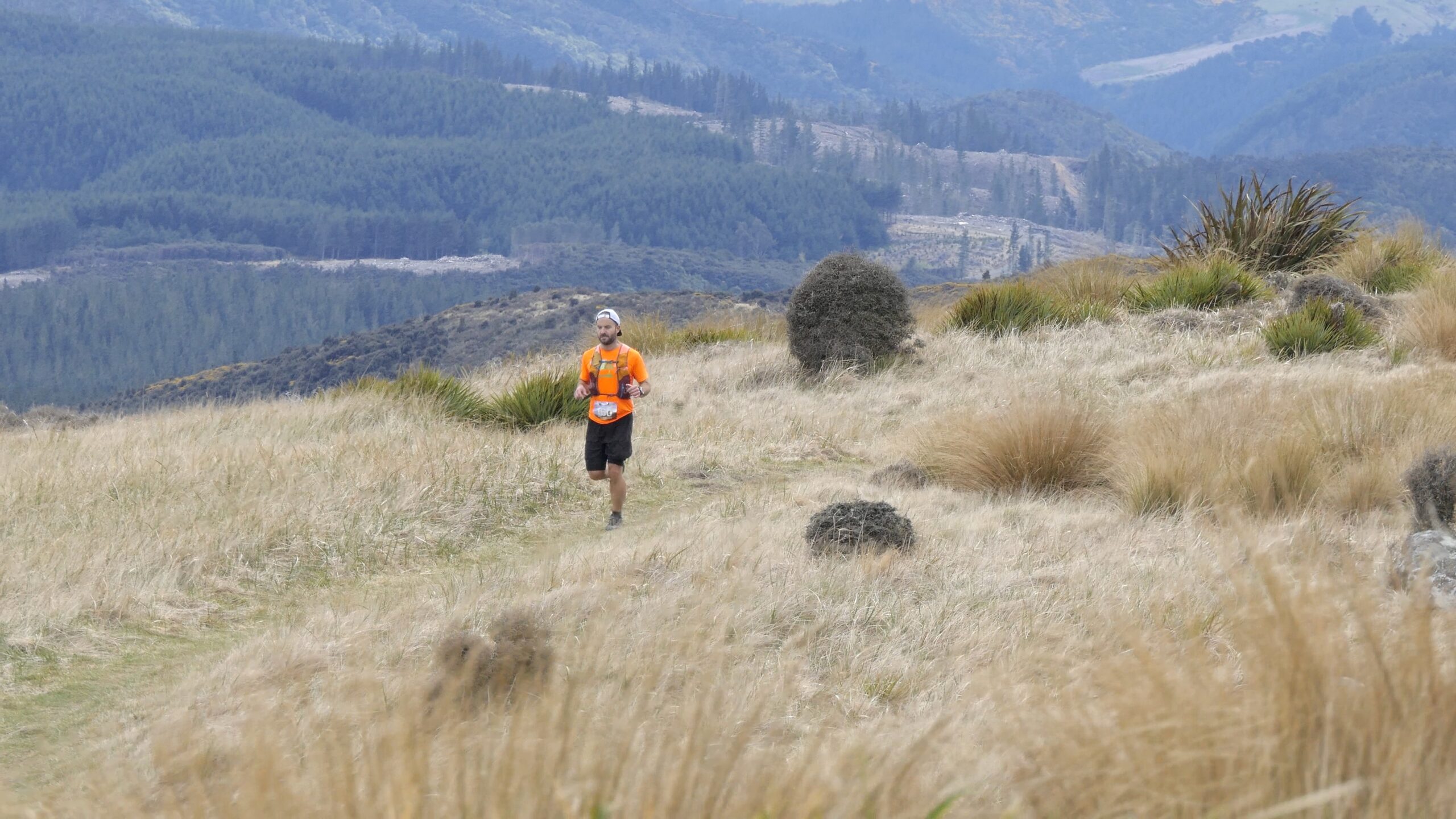 New Zealand Short Trail Championships